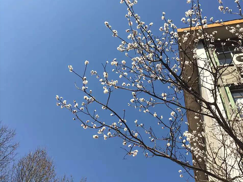 山東省實行春季高考的意義